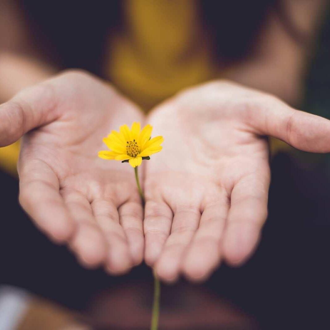 flower_data